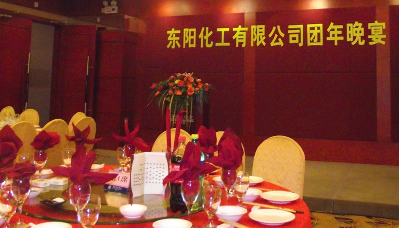 2010东阳化工有限公司团年晚宴
